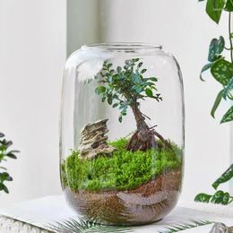 Vases 1PC Large Belly Glass Bottle Used For Home Office Window Display Desktop Decoration Micro Garden Handmade DIY Scenes