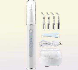 Ultrasonic Dental Electric Teeth Plaque Calculus Remover With HD Camera Oral Tooth Tartar Cleaner Stains Removal 2202284757249