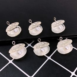 10pcs 3D Fake Pearl Shell Resin Charms Dollhouse Marine Sea Shell Earring Keychain Pendant Accessory Diy Jewelry