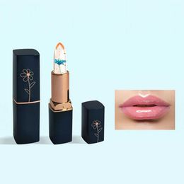 Lip Liners Pack Dark Blue Tube Transparent Dried Flower Lipstick Gold Leaf Jelly Color Changing Moisturizing Lip Lime Hair Tint