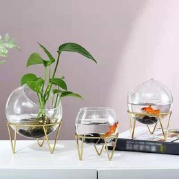 Vases Hydroponic Vase Plant Flower Pot Spherical Shape Glass Iron Art Simple Arrangement Office Desktop Decoration