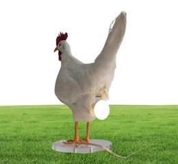 Taxidermy Chicken Lamp Decoration Room Night Lights Simulation Laying Hens Light Animal Chicken Eggs Lamp Party Home Decoration2256072