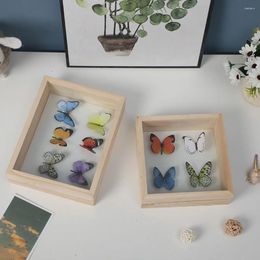 Frames Insect Specimen Storage Case Po Frame Display Rack Shadowbox Butterflies Monitor