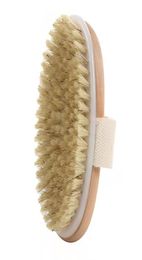 Wooden Body Bath Brush Massage Comfortable Premium EcoFriendly Cleaning Brush Without Handle3634014