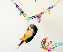 Other Bird Supplies Bridge Cage Hanging Funny Acrylic Pet Toy Exercise Accessories Toys Parrot Colourful Chain Swing