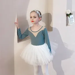 Stage Wear Toddler Girls Leotards Ballet Dress Kids Mesh Splice Gymnastics Short Sleeve Tutu Skirt Dance Costumes Bodysuit