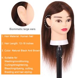 Mannequin Head 100% Human Hair Hairdresser Cosmetology Training Head Can Be Dyed And Bleached Hairdressing Apprentice