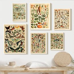 Vintage Palaeobios Botanical Retro Poster Insect Butterfly Mushrooms Prints Canvas Painting Wall Art Pictures Home Room Decor