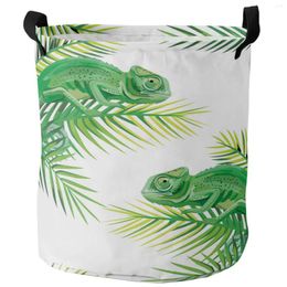 Laundry Bags Chameleon Lizard Plant Green White Dirty Basket Foldable Home Organiser Clothing Kids Toy Storage