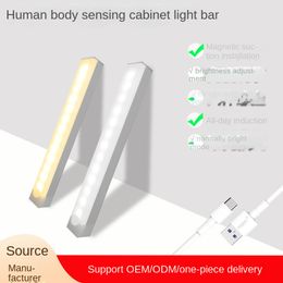 Wholesale rechargeable wardrobe lights, magnetic suction strip LED human induction light strip, wine cabinet, shoe cabinet, small night light