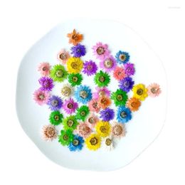 Decorative Flowers 1.5-2cm/50pcs Wholesale Scaly Chrysanthemum Dried Flower Petals Pressed DIY Drop Glue Mobile Phone Case Stick Face Makeup