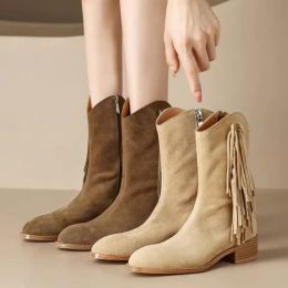 2023 Women Frosted Ankle Boots Low Heel Bohemia Boots Fringed Short Boots Spring Autumn Tassel Women Pointed Boots Botas Mujer