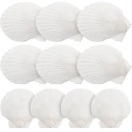 Vases 10 Pcs Christmas Tree Decorations Natural Shell Seashells Crafts Ocean Adorns Making White DIY Seaside