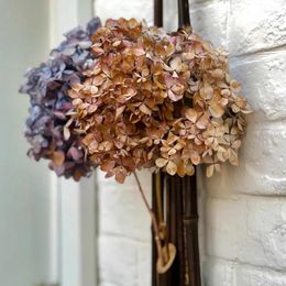 Decorative Flowers Artificial Flower Dry Looking Large Hydrangea Short Branch Wedding Party Decoration Po Props El Decor Flores