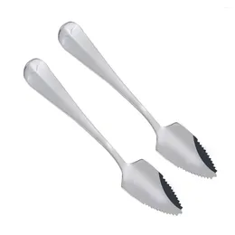 Spoons 2 Pcs Easy Clean Fruit Spoon Serrated Edge Biscuit Coffee Stirring Pumpkin Scooper