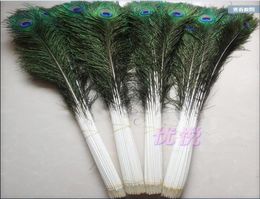 Whole 100pcslot 1044inch25110cm beautiful High quality natural peacock feathers eyes for DIY clothes decoration Wedding1838085