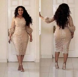 Latest European Mother Of The Bride Dresses Champagne 2017 Lace 34 Long Sleeve Tea Length Mother Of Wedding Elegant Plus Size EN89904738