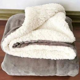 Blankets Double Blanket Thickened Coral Fleece Winter Lamb Flannel Composite Hair Replacement