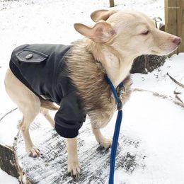 Dog Apparel Luxury Puppy Leather Jacket Winter Coat Warm Fur Collar Clothes Thick Cotton-Padded For Small Pet