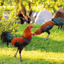 Garden Decorations Small Flags For Outside Winter Outdoor Metal Flowers On Survey Markers Yard Rooster Acrylic Ground