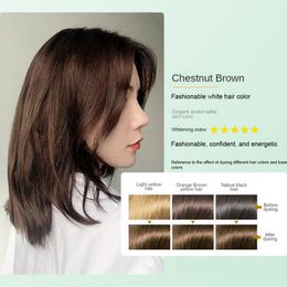 Natural Hair Dye Plants Vibrant Hair Colour Nourishing Hair Lasting Results Suitable For Sensitive Scalp Popular Hair Colours