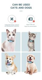 New Arrival Real-time Tracking Device Locator 4g Mini Pet Dog Gps Collar Tracker with Omni APP
