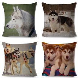 Pillow Siberian Husky Cover For Sofa Home Chidren Room Decor Cute Pet Animal Dog Pillowcase 45 45cm Polyester Case