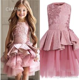 Pink wedding dresses Children039s dress princess dress flower girl wedding dresses children039s birthday dress fluffy skirt9070635