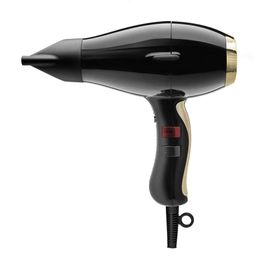 3900 Healthy Light Ionic Professional Dryer - Lightweight Design with 2 Concentrators, Various Colour Options - Fast Drying and Frizz-Free Results for Salon-Worthy Hair