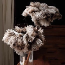 Ostrich Feather Duster Reusable Feathers Duster With Wood Handle Cleaning Tools Household Car Dust Brush Cleaner Dust Accessorie