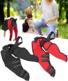 Dog Apparel Leg Brace Protector Joint Injury Recovery Protective Cover Knee Pad Support Pet AccessoriesDog ApparelDog1529536