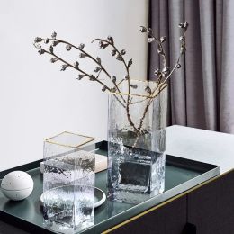 Nordic Light Luxury Ins Style Glass Vase Transparent Gold Water Raised Rich Bamboo Flower Rose Vase Living Room Decoration