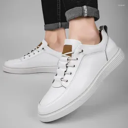Casual Shoes Spring Men's Leather Comfort Fashion Sneakers For High Quality Outdoor Lace Up Hollow Board
