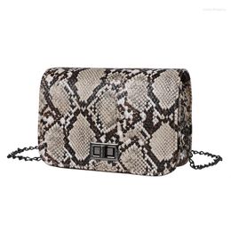 Shoulder Bags 2024 Fashion Women Bag Chain Small Square Messenger Retro Color Contrast Snake Skin Pattern Oblique Crossbody