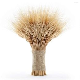 Decorative Flowers 50pcs Natural Dried Bouquet Wheat Plants Bunches 2024 Year Chrismas Wedding Decoration DIY Craft Home Decor