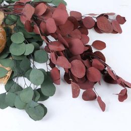 Decorative Flowers Apple Eucalyptus Leaves Forever Natural Dried Interior DIY Flower Arrangement Wedding Decoration Home Decor Colourful