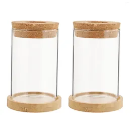 Vases 2 Pcs Eco Bottle Country Decor Glass Planter Hydroponics Container Bracket Terrarium Plants Garden Decoration Vase Office