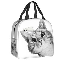 Custom Funny Cat Lunch Bag Men Women Cooler Warm Insulated Lunch Container Box for Kids School Work Food Picnic Tote Bags