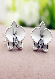 NEW White enamel flowers Stud Earring Original Box set Jewelry for P 925 Sterling Silver Earrings for Women Girls wholesale1246072