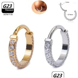 Hoop & Huggie Earrings G23 Titanium Zircon Hinged Segment Cz Stones Clicker Rings Nose Cartilage Tragus Body Piercings Accessories Dr Dhe4B