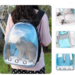 Cat Carriers Carrier Bag Breathable Transparent Puppy Backpack Cats Box Cage Small Dog Pet Travel Handbag Space