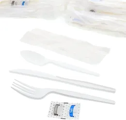 Disposable Dinnerware Six Piece Meal Kit With 12 X 13 Napkin Salt And Pepper Packets White Medium-Heavy Weight Fork Knife Teaspoon Case Of