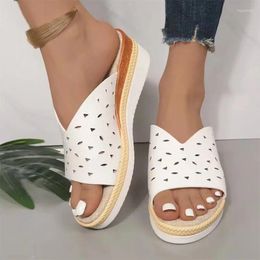 Slippers High Heels Beach Women Shoes Platform Wedges Sandals Fashion 2024 Summer Flip Flops Pumps Femme Zapatillas Slides