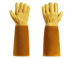 Gardening Gloves for Women and Men Thron Proof Rose Pruning Goatskin Gloves with Long Forearm Protection Gauntlet2612669