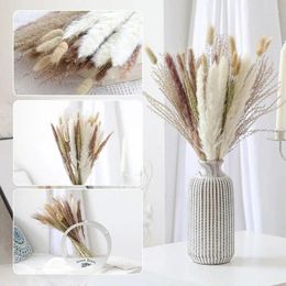 Decorative Flowers Natural Dried Pampa Grass Tail Fluffy Room Phragmites Bouquet Boho Home Decor For Wedding Ramadan