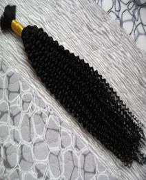 Bulk afro kinky curly braiding hair 100 no weft human hair bulk for braiding 100g No Weft Human Hair Bundles9515108