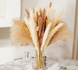 80 Pcs Dried Pampas Decor Natural Brown White Pompous Grass Dried Bunny Tails Wheat Reed Boho Home Wedding Flower Arrangement6039152