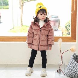 Down Coat Boys And Girls Gold Velvet Cotton 0-7 Years Old Solid Hooded Clothes Baby Kids Thick Warm Jacket Children's Clothing