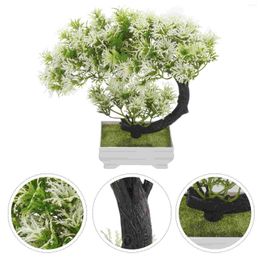 Decorative Flowers Fake Plants Lifelike Plastic Tree Artificial In Pot Bonsai Trees Potted