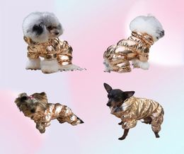 5 Colour Whole Big Designer Dog Apparel for Small Large Dogs Winter Pets Coat Waterproof Puppy Jacket Windproof Doggy Snowsuit 8670364